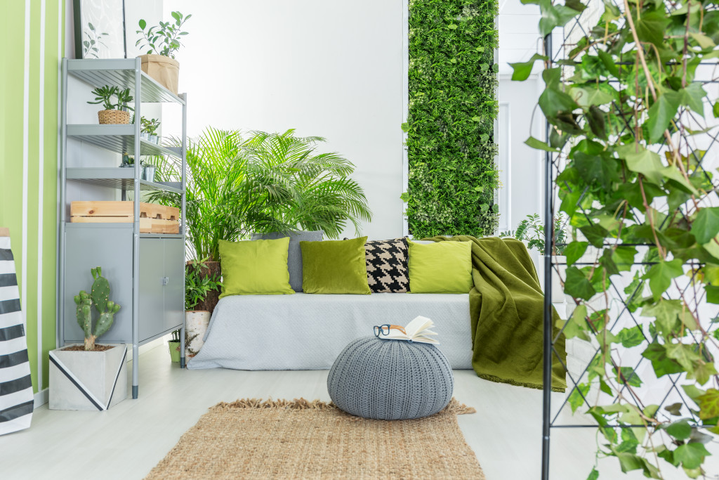 Creating a healthy home environment