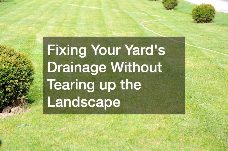 Backyard Drainage Problems Ruining Your Landscape Plans